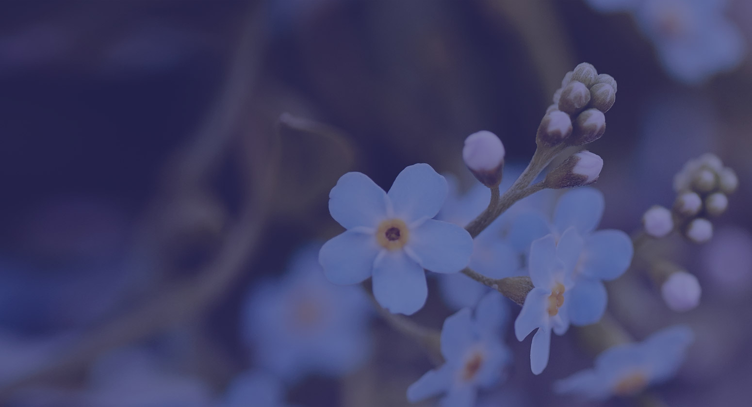 We Are Hiring Funeral Bearer Wathall's Funeral Directors